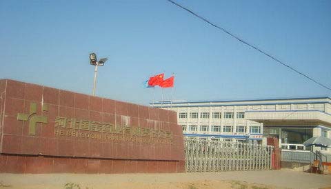 河北國金藥業(yè)有限責任公司